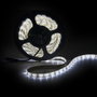 Tira de LEDs SMD3528 Blanc Froid 12VDC 5m IP65 24W 1200Lm 6000K 300 LEDs 8mm