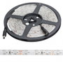 Tira de LEDs SMD3528 Blanc Froid 12VDC 5m IP65 24W 1200Lm 6000K 300 LEDs 8mm