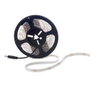 Tira de LEDs SMD3528 Blanc Froid 12VDC 5m IP65 24W 1200Lm 6000K 300 LEDs 8mm