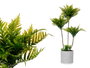 IBERGARDEN Maceta Cemento Gigante Palmera Verde Gris + Verde