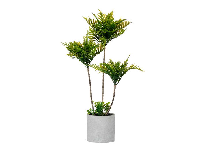 IBERGARDEN Maceta Cemento Gigante Palmera Verde Gris + Verde