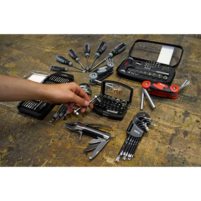 AEG Coffret d'embouts de précision 30 pièces avec embouts plats, cruciformes, hexagonaux et Torx - Gris