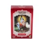 Radhe Shyam Henna en poudre Caoba oscuro