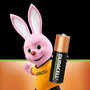 Piles Rechargeables DURACELL 1,2 V AA