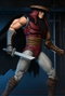 Teenage Mutant Ninja Turtles figurine Foot Assassin (Classic Colors) 18 cm
