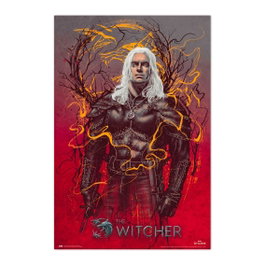 Grupo erik Poster The Witcher 2 Geralt De Rivia