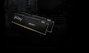 Kingston FURY Beast DDR5 32 Go (1x32 Go) 6000 MT/s CL36 Noir EXPO - Mémoire RAM