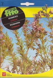 Semillas Fito Aromaticas Romero Comun - Boîte de 10