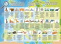 Educa Puzzle 150 pièces Carte de l'Europe