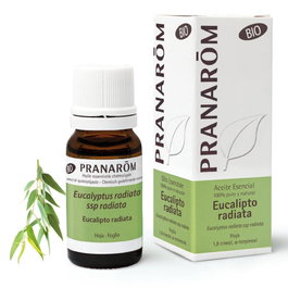 Galeo Huile essentielle bio Eucalyptus Radiata 10ml