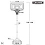 Lifetime Color Baby Canasta baloncesto - Panier de basket portable en polycarbonate, hauteur ajustable 230-305 cm, pour enfants à partir de 6 ans