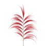 Branche Rouge Bambou Fibre naturelle 60 x 1 x 230 cm