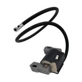 Pastormatic Batterie 12V 12Ah de type accumulateur