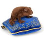 The Noble Collection Peluche Harry Potter Grenouille en Chocolat avec Coussin