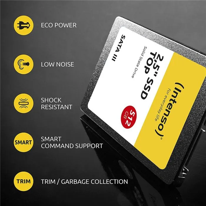 Disque dur INTENSO Top Performance 1 TB SSD Disque dur INTENSO Top Performance 1 TB SSD
