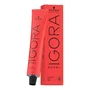 Schwarzkopf Professional Igora Royal Teinture permanente 6-31 Dark Blonde Matt Cendre 60 ml