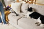 Shark Aspirateur balai sans fil Power Detect IP3251EUT avec base de vidage automatique Clean & Empty, détection de saleté, autonomie 70 min