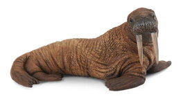 COLLECTA Morse - Échelle L