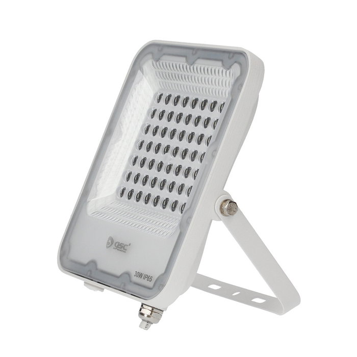 GSC Evolution Projecteur LED 30W 6500K Blanco IP65