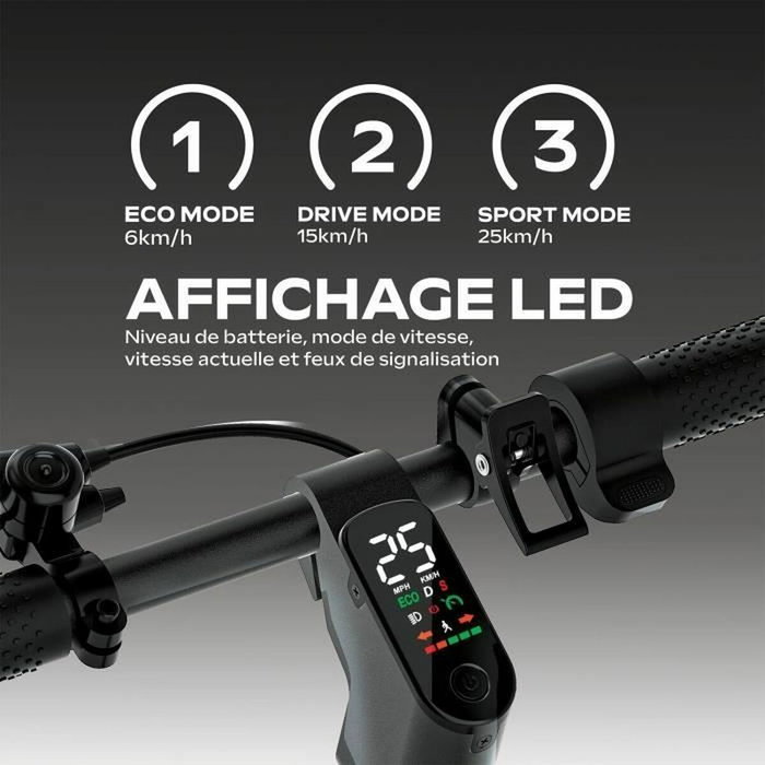 Ezway EX100 Trottinette Électrique Noir