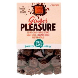 TERRASANA Ginger Pleasure Gingembre-Choco Bio 150 g