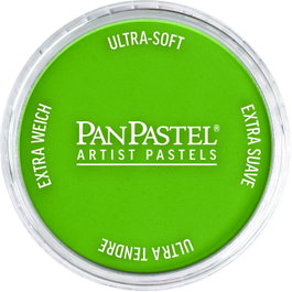 Panpastel 690.3 Vert jaunâtre ombre