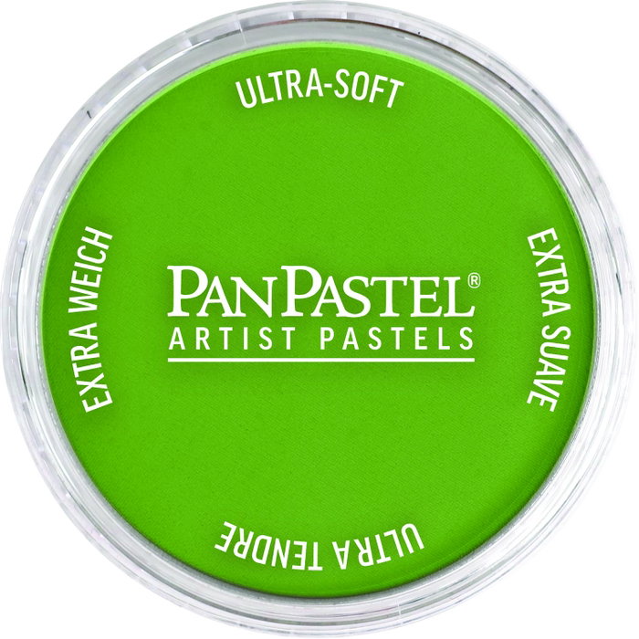 Panpastel 690.3 Vert jaunâtre ombre Panpastel 690.3 Vert jaunâtre ombre
