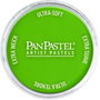 Panpastel 690.3 Vert jaunâtre ombre