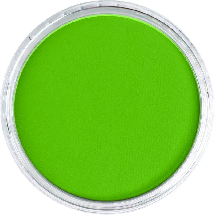 Panpastel 690.3 Vert jaunâtre ombre Panpastel 690.3 Vert jaunâtre ombre