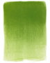 Panpastel 690.3 Vert jaunâtre ombre