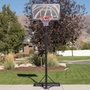 Color Baby - Panier de basket portable en polyéthylène Lifetime avec panneau réglable en hauteur (229-305 cm)