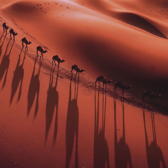 Guerlain Absolus Allegoria Tabac Sahara Eau de Parfum Vaporisateur 75 ml Guerlain Absolus Allegoria Tabac Sahara Eau de Parfum Vaporisateur 75 ml