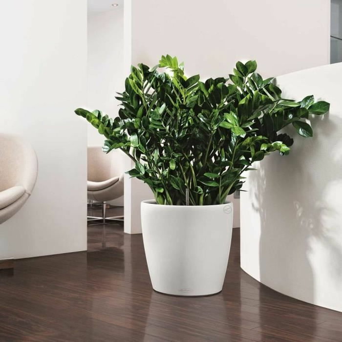 Lechuza Classico Color 43 Pot de fleurs Blanc - Kit complet All-in-one Lechuza Classico Color 43 Pot de fleurs Blanc - Kit complet All-in-one