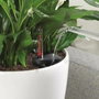 Lechuza Classico Color 43 Pot de fleurs Blanc - Kit complet All-in-one