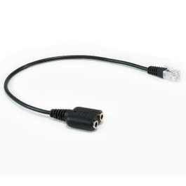 Equip Câble RJ-9 vers 2 x jack 3,5 mm 0,25 m