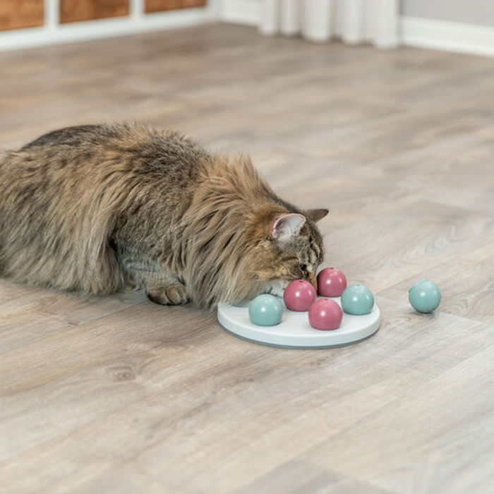 Tapis de Jeux et Récompenses pour Animaux de Compagnie Trixie