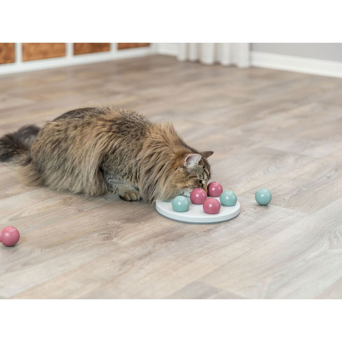 Tapis de Jeux et Récompenses pour Animaux de Compagnie Trixie