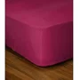 Lovely Home Drap-Housse 160x200+35 cm Fuchsia 100% Coton LH71608