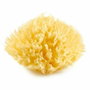 Thermobaby Éponge de mer Honeycomb Jaune