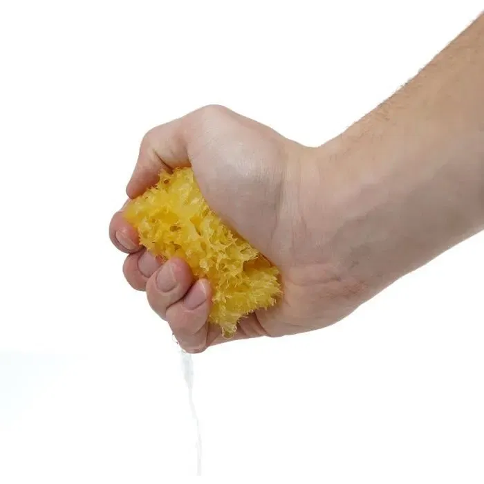 Thermobaby Honeycomb - Éponge de mer naturelle pour bébé - Douce, absorbante, hygiénique et durable - Testée dermatologiquement