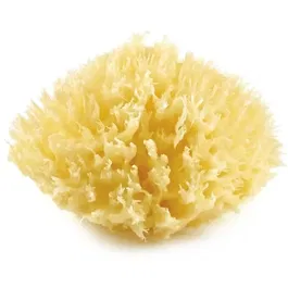 Thermobaby Honeycomb - Éponge de mer naturelle pour bébé - Douce, absorbante, hygiénique et durable - Testée dermatologiquement