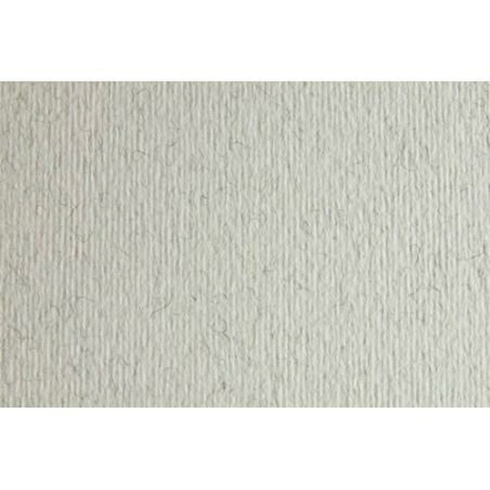 Papier carton Sadipal LR 220 Gris clair 50 x 70 cm Texturisée (20 Unités)