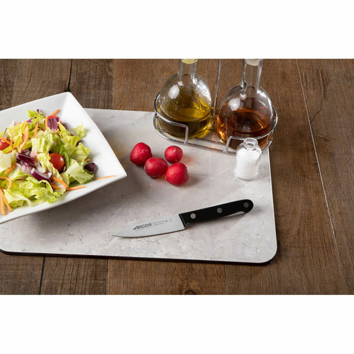 Couteau à trancher Arcos serie universal Acier inoxydable Plastique 10 cm Couteau à trancher Arcos serie universal Acier inoxydable Plastique 10 cm