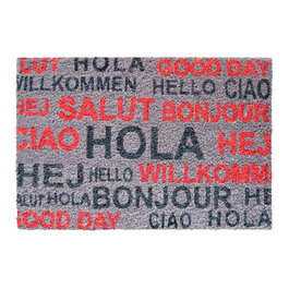 Tarres Tapis de sol en fibre de coco design Saludos, 60 x 40 cm