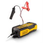Powerplus Chargeur intelligent de batteries 12V 120Ah
