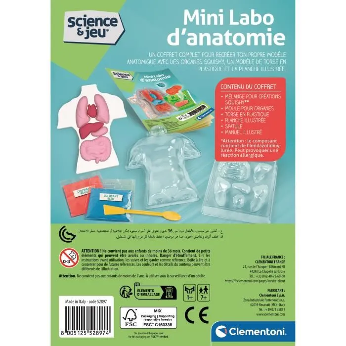 Clementoni Mini Labo d'Anatomie - Coffret Scientifique pour Enfants avec Moules et Poudres pour Reproduire les Organes - Jouet Éducatif à Partir de 4 Ans