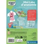 Clementoni Mini Labo d'Anatomie - Coffret Scientifique pour Enfants avec Moules et Poudres pour Reproduire les Organes - Jouet Éducatif à Partir de 4 Ans