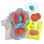 Clementoni Mini Labo d'Anatomie - Coffret Scientifique pour Enfants avec Moules et Poudres pour Reproduire les Organes - Jouet Éducatif à Partir de 4 Ans