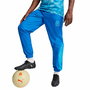 Jogging d'Entraînement de Football pour Adultes Puma 774055 19 Homme