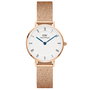 Daniel Wellington DW00100681 Petite Roman Rose Gold et Rose